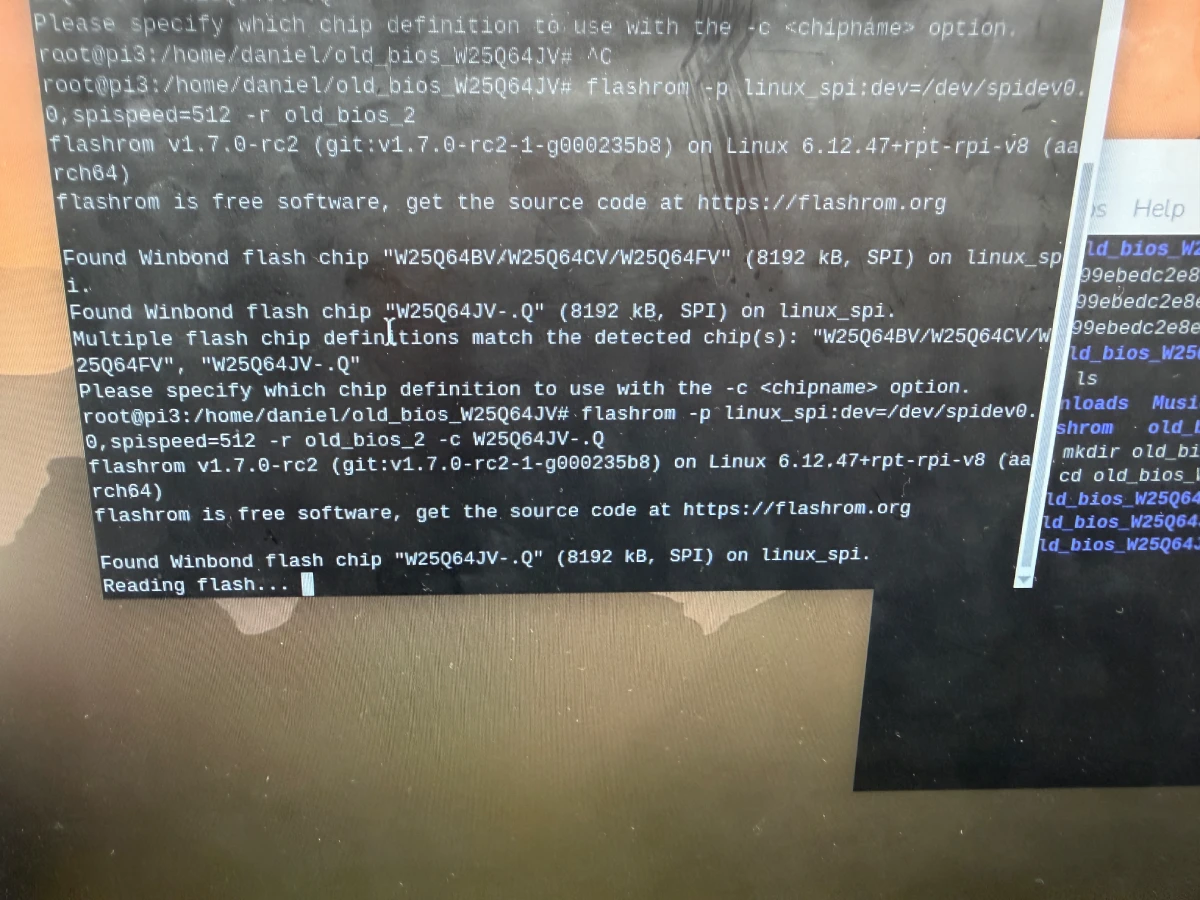 Reading second BIOS chip